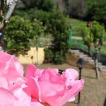 בית נופש Oasi Di Tranquillita - Glory Cicagna