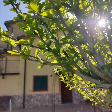 Oasi Di Tranquillita - Glory 別荘