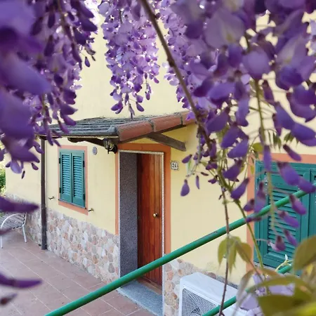 Oasi Di Tranquillita - Glory *