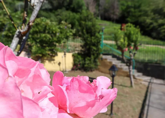 Ferienhaus Oasi Di Tranquillita - Glory Cicagna