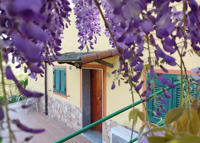 Oasi Di Tranquillita - Glory *
